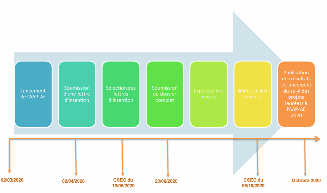 Processus AE 2020